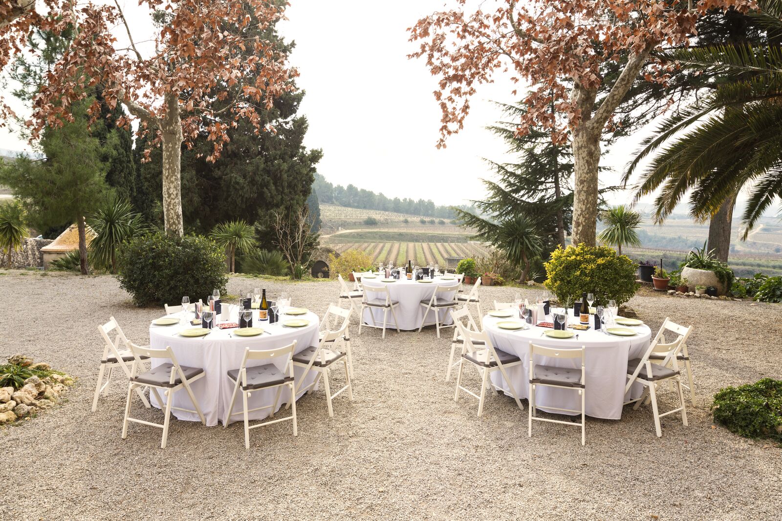 Garden at Albet i Noya with round tables laid and the vineyards behind