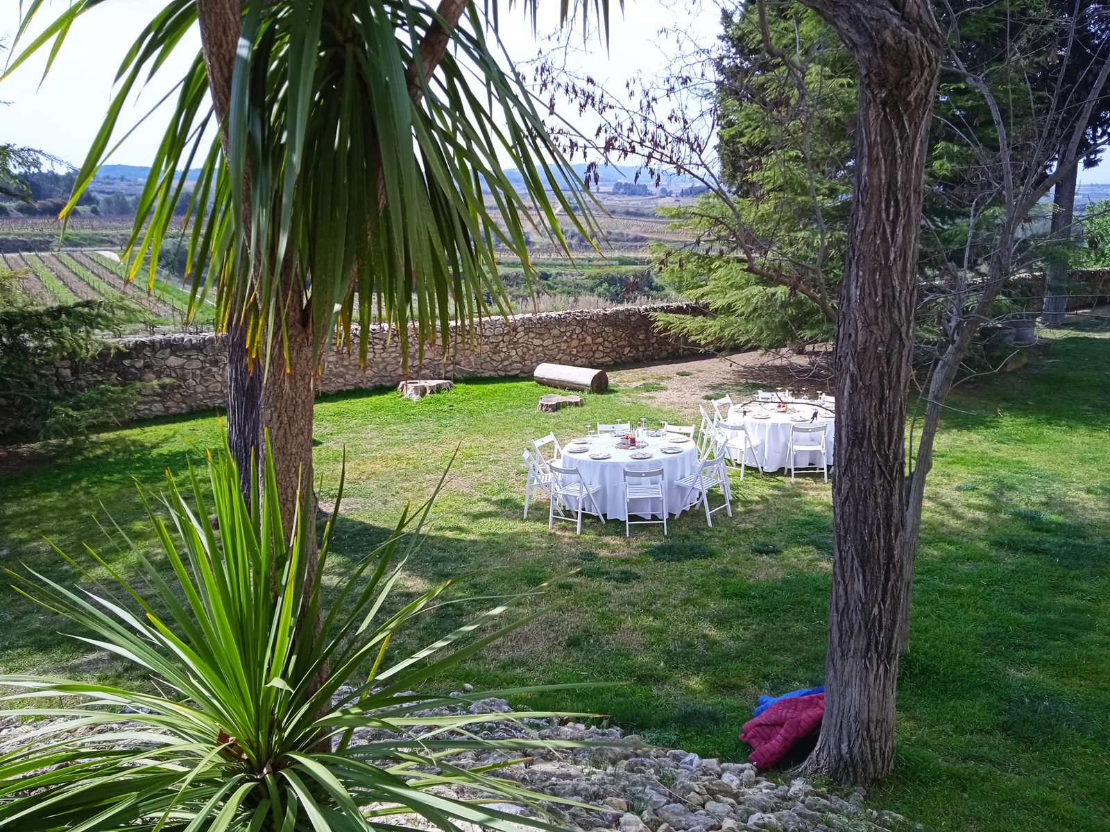 Round tables laid in the garden at Albet i Noya, in the shade of the trees with the vineyards behind