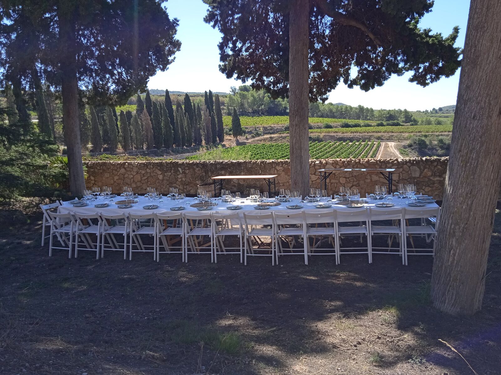 Long table among pines facing the vineyards at Albet i Noya