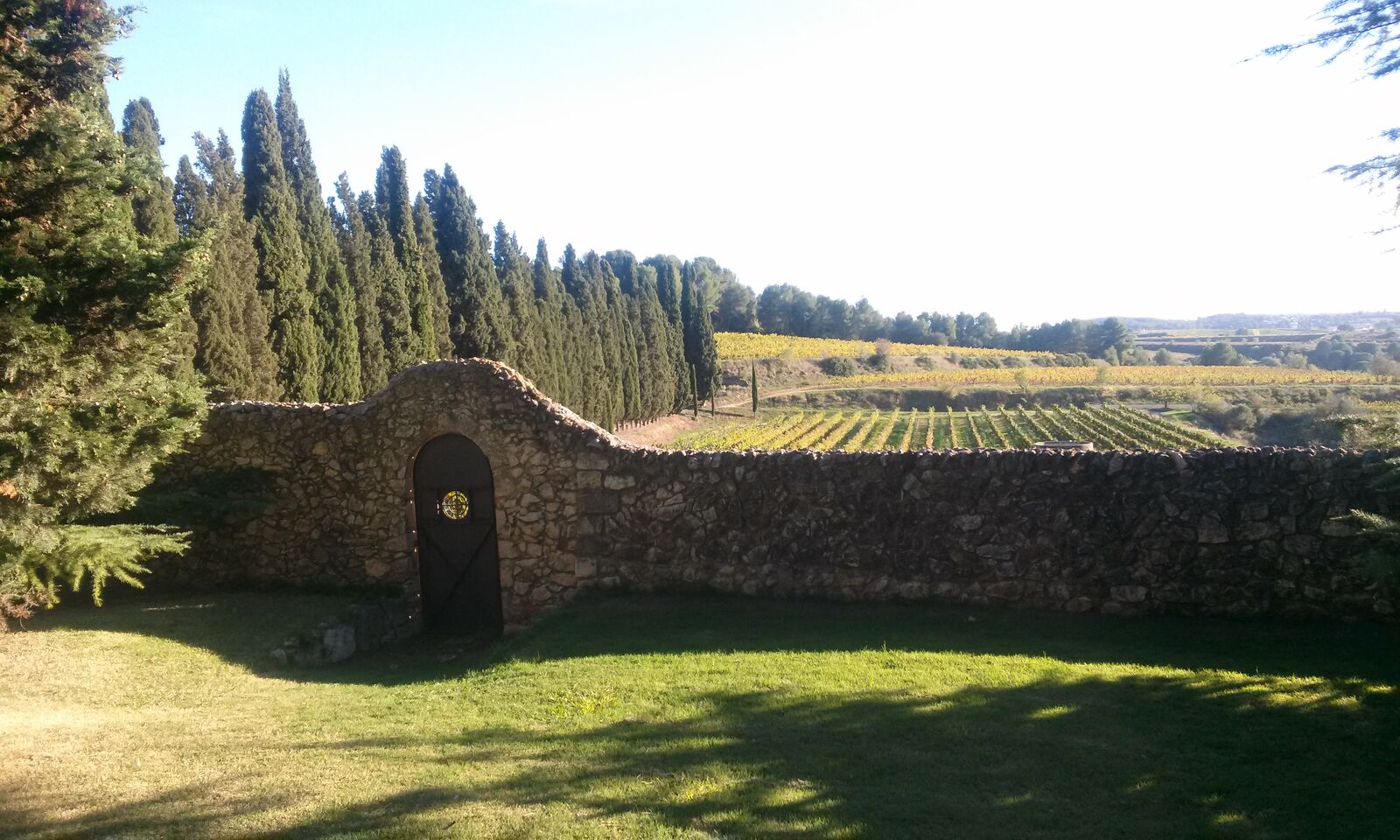 Stone wall with a door, cypresses and vineyards at Albet i Noya