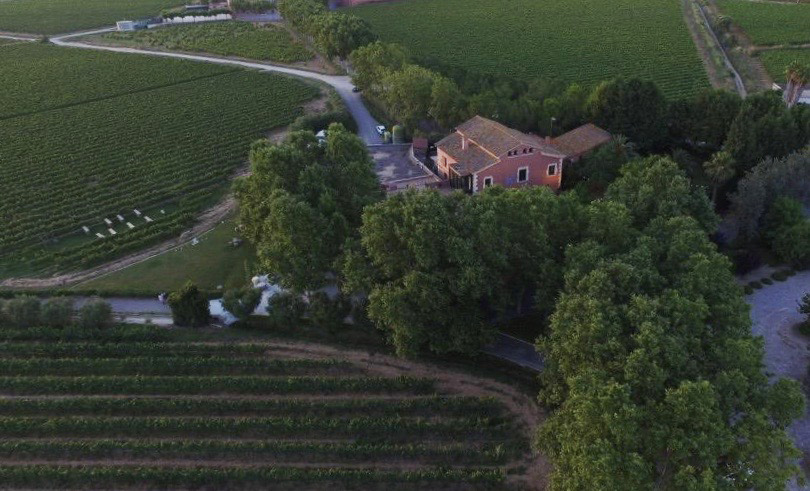 Aerial view of La Torre del Gall surrounded by vineyards and woodland